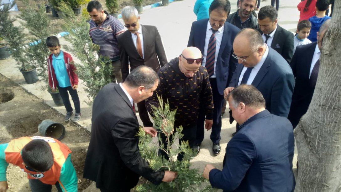 Mahmudiye İlköğretim Okulunda Okul Bahçesi Ağaçlandırması Yapıldı